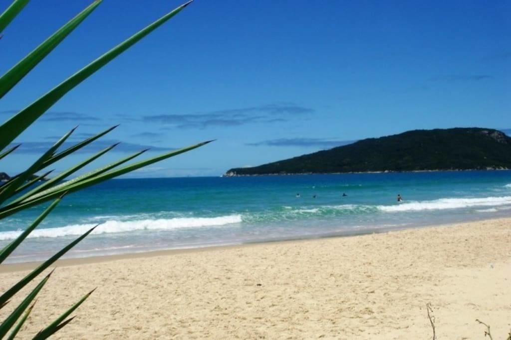 Tu Casa de la Playa Vacaciones en Florianópolis Brasil Apartamento Exterior foto